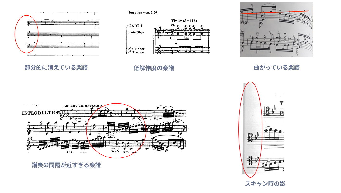 インポートのための注意点2