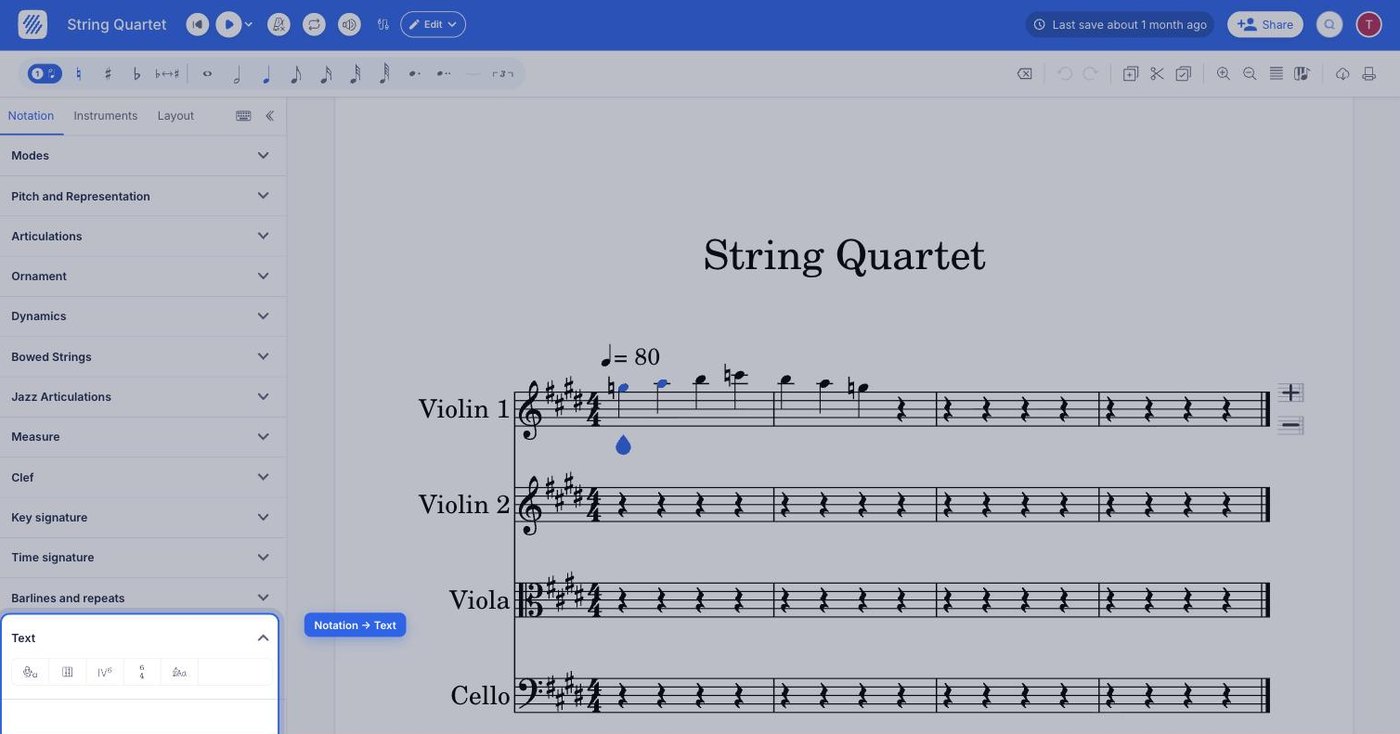 the Text section of the Notation tab