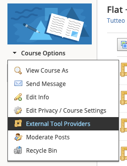 Course Options, External Tool Providers